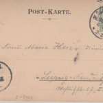 Sachsen - Schneeberg Marktplatz sw-AK gelaufen 1904