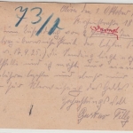 Danzig - 5 Pfg. GA-Karte+Zusatz, Olivia - Nürnberg 1925