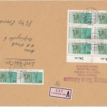 BRD - 8x60 Pfg. Jahr d. Behinderten Wertbrief (4.Gew.st.) Oberkirch 1981 n.