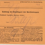 Bayern - 80+20 Pfg. Ludwig Paketkarte Gaugrehweiler - kaiserslautern 1917
