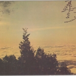 Taiwan - 5 $ Wildgänse Luftpostkarte Taipei - Bonn 1974