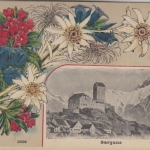 Schweiz - Sargans sw-Ansicht m. farb. Blumenprägung ca. 1910 ungelaufen