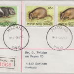 Papua Neuguinea - Madang 1993 Einschreibebrief 2x45 + 60 t Säugetiere