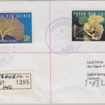 Papua Neuguinea - Tabubil 1997 Einschreibebrief K1+50 t Korallen