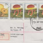 Papua Neuguinea - Saidor 1995 Einschreibebrief 25+3x65 t Pilze