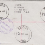 Papua Neuguinea - Saidor 1995 Einschreibebrief 25+3x65 t Pilze