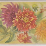 Berlin - Schwarzaufdruck 2 Pfg. MIF 10 Pfg. Bebel Karte Erfurt - Weida 1949