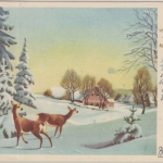 Berlin - 15 Pfg. Bauten I Luftpostkarte Halensee - Hamburg 1952