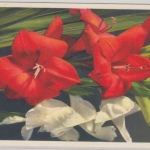 Schweden - 12a.25 + 8 Ö. König Gustav u.a. Karte Stockholm - Schnepfenthal 1936