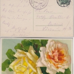 DR - Deutsche Rosen Ausstellung Berlin-Britz 1911 priv. SST Rosen-Motiv-AK