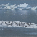 Francaise Antarctiques - 2,30 F. Ganzsache LH-Erstflug Berlin Kopenhagen 1991