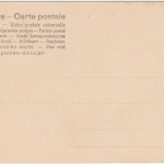 DOA - Palmenwald b. Da-es-Salam sw-Ansichtskarte ungelaufen ca. 1900/05