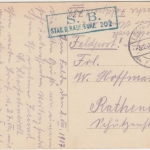 Südafrika - Kommandant Jooste Straussenherde sw-Ansichtskarte/Feldpost 1917