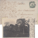 Kamerun - 5 Pfg. Schiffszeichnung priv. Fotokarte Buea - München 1911