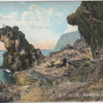 DR - MSP No.24 SMS Gneisenau II farb. AK Madeira n. Bonn 1908 Verbandsreise n.
