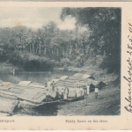 DR - MSP No. 26 SMS Bussard/Dampfer Rhein sw-AK Ceylon Ratnapura n. Kiel 1901