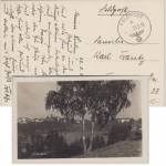 DR - Feldpostkarte (sw-AK Pribyslav) Fp.-Normstpl. "b" n. Frankfurt a/M 23.3.39