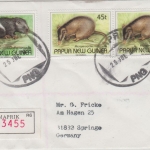 Papua New Guinea PNG - 60 T. Ratte u.a. Einschreibebrief Maprik 25.7.1994