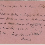 DR - 5 PfgE farbige Postkarte (bezahlte Rückantwort) Greiz - Colditz 1878