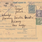 Ungarn/Kroatien - 10 F. Ganzsache + Zusatz Paketkarte Čepin - Köszeg 1918