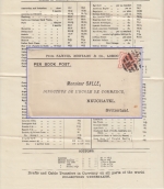 Großbritannien - 1/2 P Victoria Perfin SM&Co Drucksache i.d. SCHWEIZ London 1896
