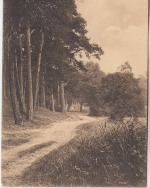 Brandenburg - Finkenkrug Weg zum Bahnhof sw-AK gelaufen ca. 1910