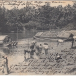 Ceylon - 2+4 C. Eduard VII. sw-AK n. ÖSTERREICH Colombo - Wien 1905
