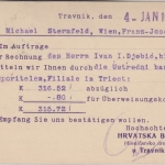 Bosnien & Herzegowina - 5 H. Landschaften Karte Travik - Wien 1910