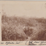Mexiko/Bayern - 1908 priv. Fotokarte n. Schellenberg b. Berchtesgaden