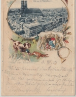 Bayern - München Blick v. Petersturm fabr. Passepartout-Präge-AK gelaufen 1901