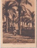 Ital. Libyen - 50+25 C. Freimarke Karte n. TSCHECHIEN Tripolis Mähr. Ostrau 1927