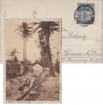 Ital. Libyen - 25 C. Freimarke Drucksache (AK) n ÖSTERREICH Tripolis - Wien 1928