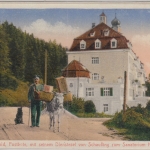 Bayern - Schaufling Postbote Schmid m. Dienstesel ungelaufen farb. AK ca. 1910