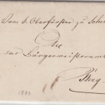 Bayern - Berg i.d.Pf 9. NOV K1 Dienstbrief Scheibenhardt - Berg 1873