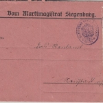 Bayern - 2x3+10 Pfg. Staatswappen Dienstbrief Siegenburg - Neustadt 1919
