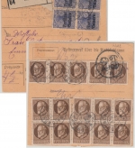 Bayern - 20 Pfg. Germania/Freistaat u.a. Paketkarte Waldmünchen - Nürnberg 1920