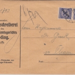 DR - 2x20 Pfg. Korbdeckel/Dienst Zustellurkunde Roding - Cham 1924
