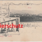 Bayern - Hundshaupten Gastwirtschaft Total sw-Mehrbild-AK gelaufen 1911