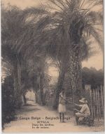 Belgisch Congo - 15 C. Bildganzsache (89/M'Pala In de tuinen) ungebraucht 1922