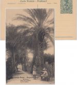 Belgisch Congo - 15 C. Bildganzsache (89/M'Pala In de tuinen) ungebraucht 1922