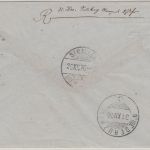 Bayern - 20 Pfg. weite Welle Brief i.d. SCHWEIZ Nördlingen 1876