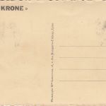 Bayern - München Zirkus Krone Carl u. Ida krone Eelephanten sw-AK ca. 1930