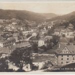 DR/Schweiz - 8 Pfg. Ebert Karte Waldshut - Kreuzlingen 1929 20 Rp. Nachporto