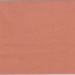 DR - Die Deutsche Arbeitsfront Gauverwaltung Berlin Ersatz-Ausweiskarte AEG