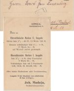 Abstimmung/Oberschlesien - 2x10 Pfg. Drucksache n. HOLLAND Oppeln 1920