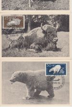 DDR - Tierpark Berlin Satz a. 6 Maximumkarten ESST Berlin-Friedrichsfelde 1956