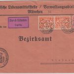 Bayern - 2x30 Pfg. Staatswappen Eilbrief München - Aichach 1919