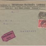 Bayern - 50 Pfg Staatswappen/Volksstaat u.a. Orts-Eilbrief Landshut 10. JAN 20