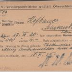 Bayern/DR - 10+20 Pfg. Staatswappen/DR-Dienst Karte Schleissheim 20. JUN 20