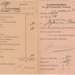 Bayern - Staatswappen 2 Orts-Nachnahmekarten Straubing 1919/1920